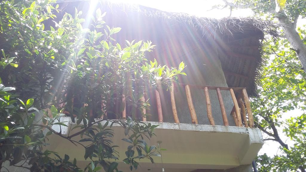 מטרה Seasons Four Mini Jungle Cabana מראה חיצוני תמונה